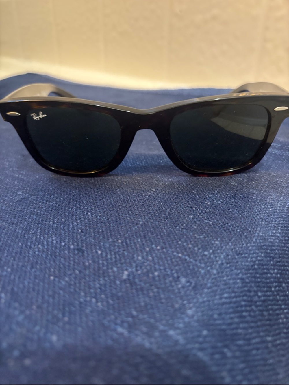 Ray-Ban Black Wayfarer-Style Sunglasses with Dark Lenses